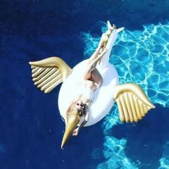 COLORIZE-PEGASUS&GOLDEN WINGS DEV DENİZ YATAĞI 275x250x150 CM.