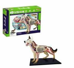 4DMASTER KÖPEK ANATOMİSİ