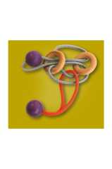 Puzzle Hasta La Vista 3D Ahşap Puzzle