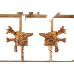 ACADEMY 18135 SOLAR SHIP